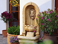 Brunnen mit Wasserspeier
